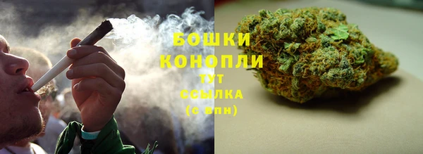 гидропоника Бугульма