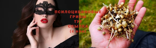 гидропоника Бугульма