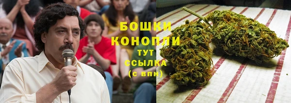гидропоника Бугульма