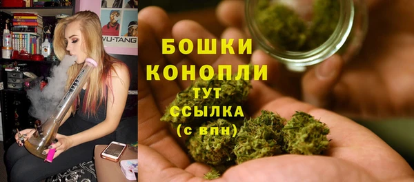 трава Бронницы